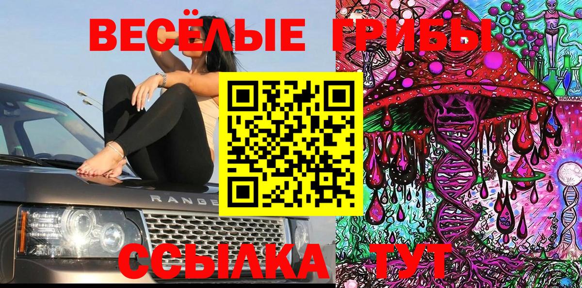 Псилоцибиновые грибы Magic Shrooms Урюпинск